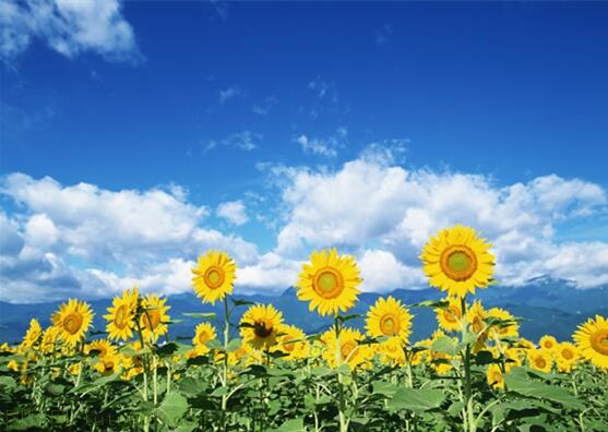 用責(zé)任點(diǎn)燃青春，以擔(dān)當(dāng)成就事業(yè)