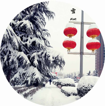 雪，寒冬里的溫柔