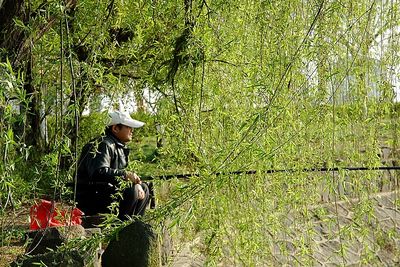 春天，一個多么富有詩意的名字??！