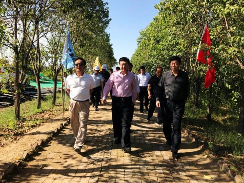 陜西省總工會黨組書記、主席白阿瑩一行蒞臨鄠邑區(qū)調(diào)研考察草堂寺健康養(yǎng)老示范項(xiàng)目