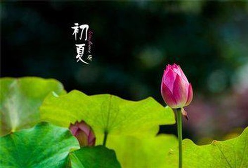 初夏隨筆·詩(shī)二首