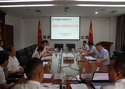 寧興剛旁聽(tīng)督導(dǎo)大秦置業(yè)公司黨委中心組理論學(xué)習(xí)