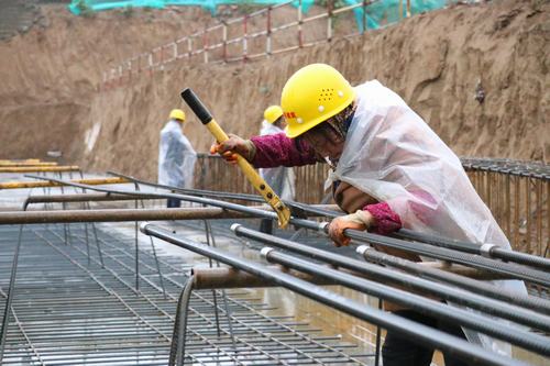 雨天里，“小蜜蜂們”在“筑巢”