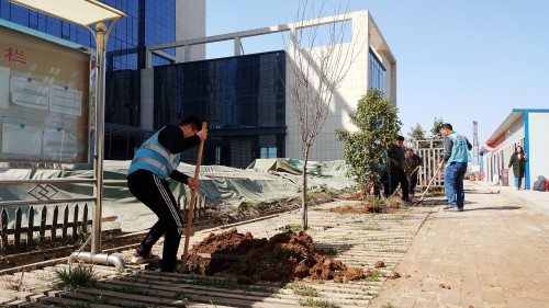 陜煤建設(shè)澄合分公司基層單位開展“植樹護綠，美麗家園”義務(wù)植樹活動