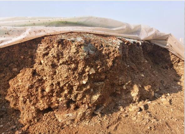 “廢料”變“肥料”，蘑菇包在土壤改良中的應(yīng)用