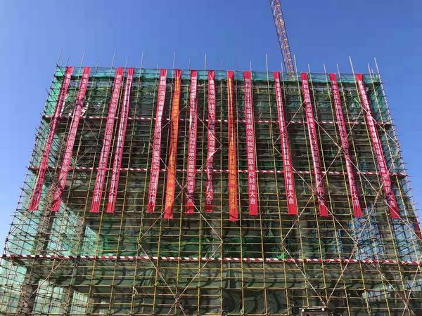 子洲黃芪綜合開發(fā)中藥材提取物生產線項目主體結構全面封頂