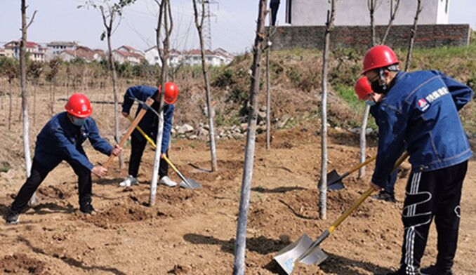 今天你植樹了嗎？