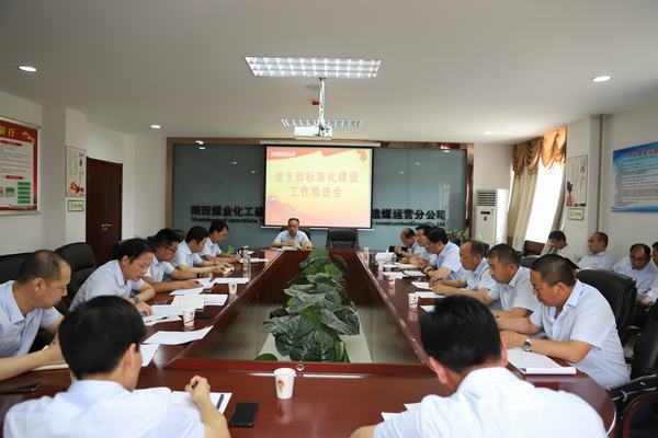 陜煤建設(shè)洗選煤運(yùn)營(yíng)公司全面推進(jìn)基層黨支部標(biāo)準(zhǔn)化建設(shè)工作