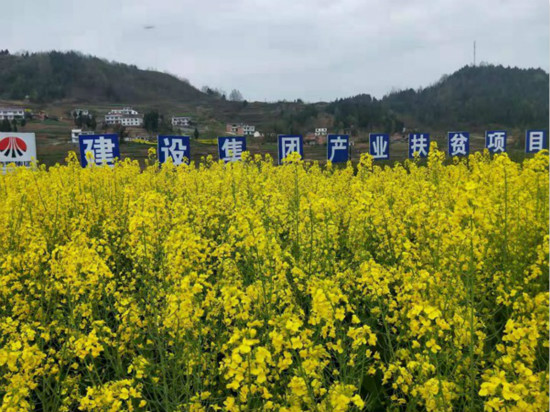 公司領(lǐng)導(dǎo)寧興剛、侯本英到扶貧定點幫扶村看望慰問困難群眾