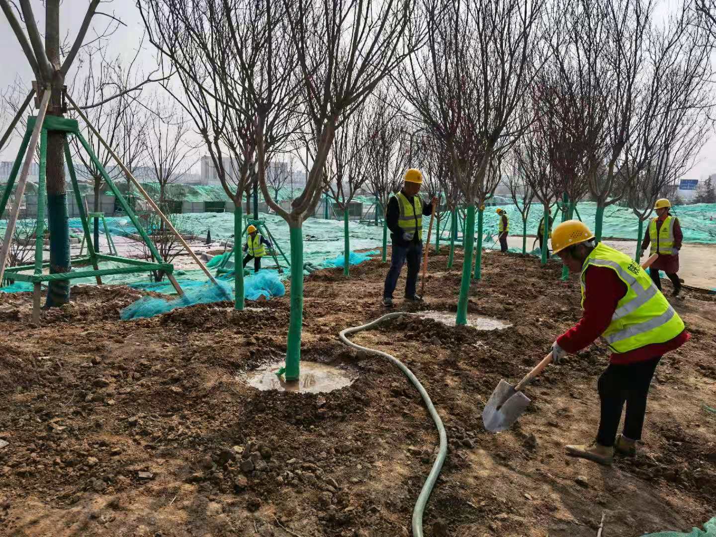 陜煤建設(shè)綠宇公司：為大地添綠正當時