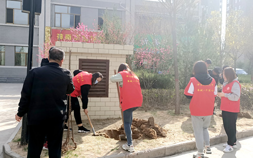 陜煤建設公司:開展綠化補種 打造美好家園