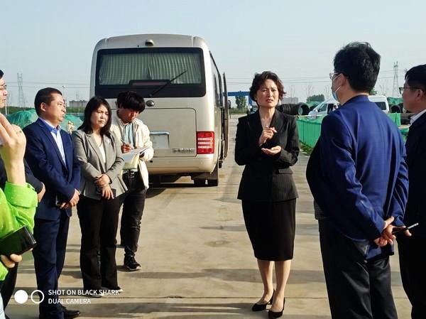 河南省許昌市副市長趙淑紅一行深入陜煤建設(shè)渭南分公司河南龐源項目進行調(diào)研