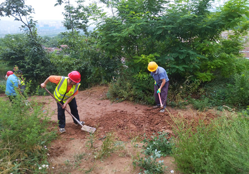 青年突擊勇?lián)敚穹篮轱@形象