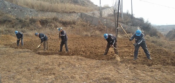 陜煤建設(shè)洗選煤運營公司左權(quán)洗煤廠項目部：春耕“小菜園”，播種幸福感