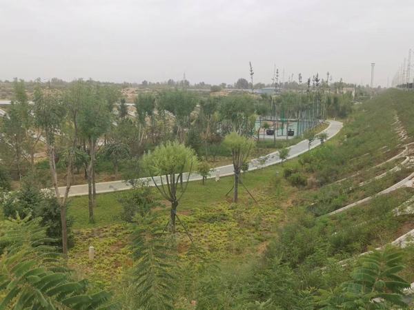 陜煤建設(shè)銅煤公司第八項目部承建的靖神鐵路站區(qū)景觀綠化工程順利通過竣工驗(yàn)收