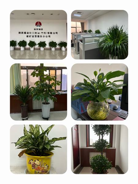 陜煤建設(shè)煤礦運(yùn)營(yíng)服務(wù)公司：職工之事無(wú)小事