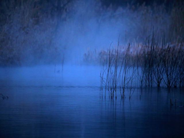 “冬月”你好！