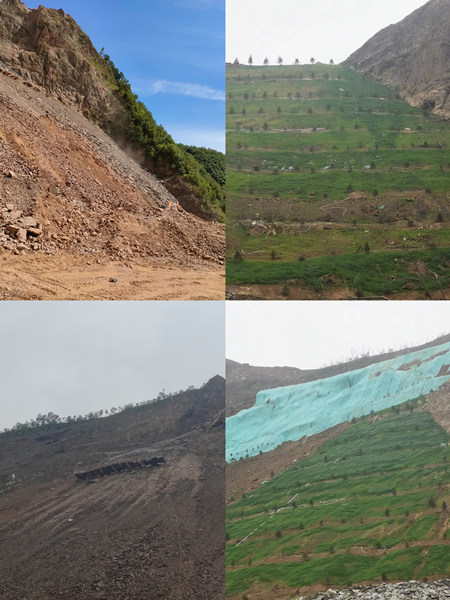 渣山變綠林，碎石堆場批“綠裝”