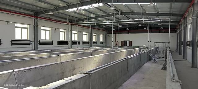 陜煤建設(shè)韓城分公司：年終歲末，西藏喜訊接踵而至！