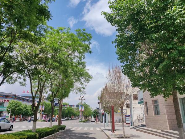 青春，慢點走