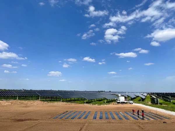 陜煤建設(shè)機(jī)電安裝公司蒲白光伏發(fā)電項目順利通過商業(yè)運(yùn)營前監(jiān)督檢查