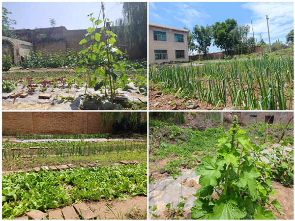 陜煤建設(shè)礦建三公司：項目部里的“開心農(nóng)場”