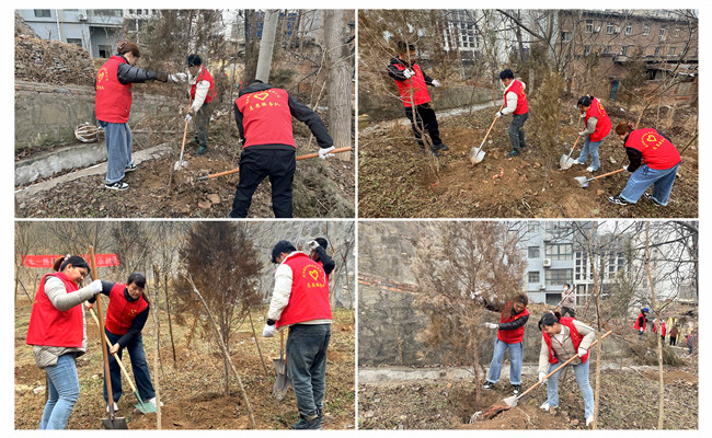 陜煤建設(shè)機(jī)電安裝公司：走，上春山，植樹去！