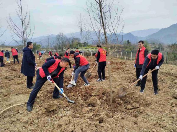 陜煤建設(shè)駐村工作隊(duì)參加春季義務(wù)植樹(shù)活動(dòng)