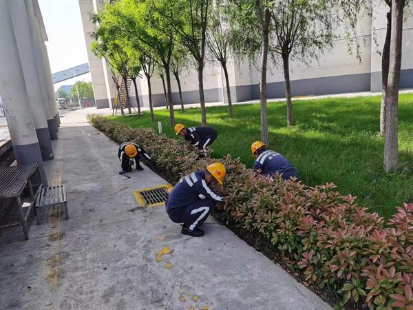 陜煤建設(shè)洗選煤運(yùn)營(yíng)公司神渭蒲城運(yùn)營(yíng)項(xiàng)目部：逐”綠”而行 向”綠”而興！廠區(qū)綠化在行動(dòng)