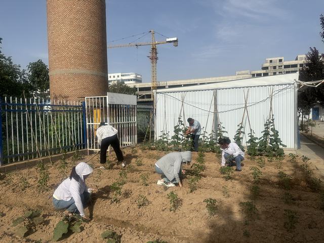 陜煤建設(shè)韓城分公司土建六項目部：打造美麗的“花園”角落