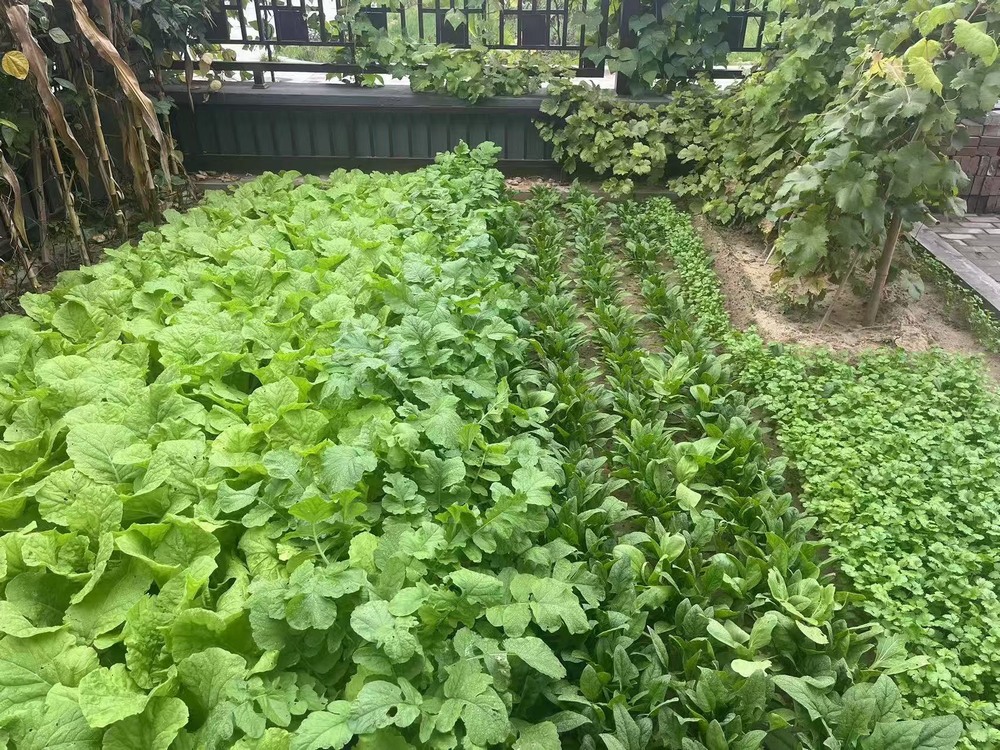 工地之上，家的溫度悄然綻放