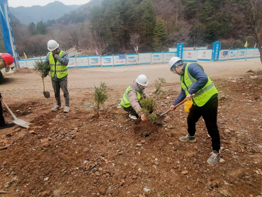 “植”此青綠，陜煤建設路橋分公司春風十里添新林