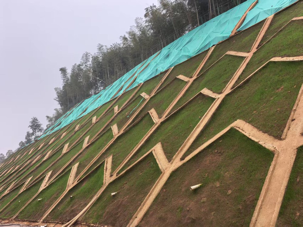 陜煤建設(shè)西北分公司：邊坡披綠衣，防護(hù)顯匠心