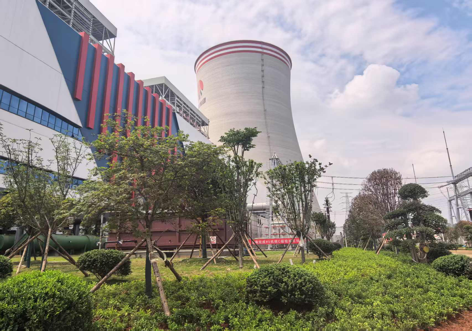 陜煤建設(shè)西北分公司：綠意盎然入電廠，生態(tài)建設(shè)譜新章