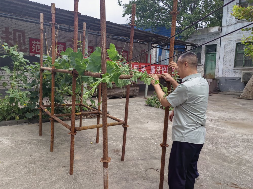 平凡堅守，織就的那些暖心緣