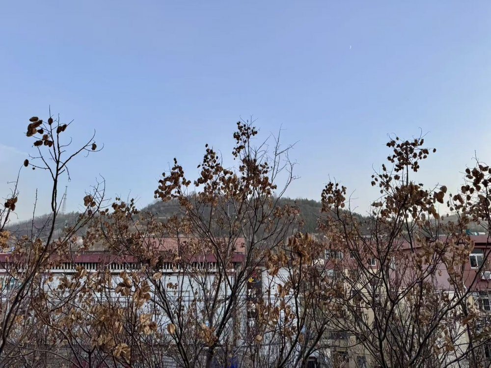 秋意漸濃時(shí)，回望來(lái)時(shí)路