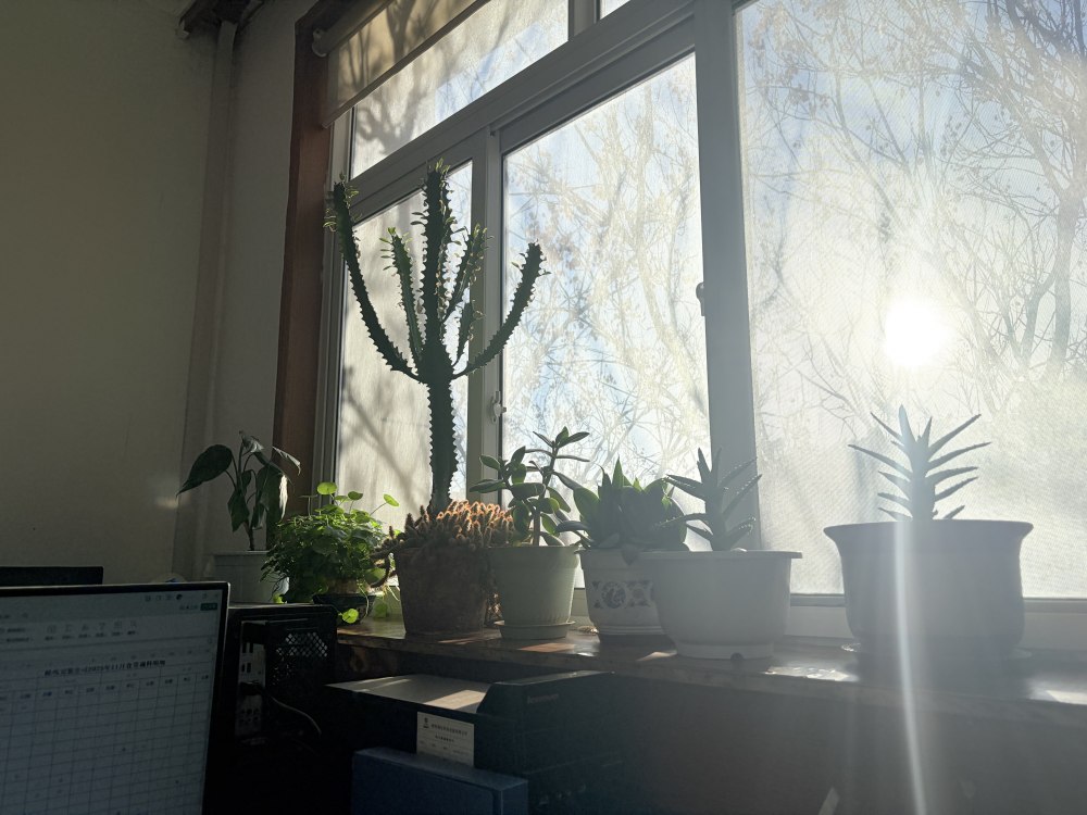 冬陽正好，步履鏗鏘