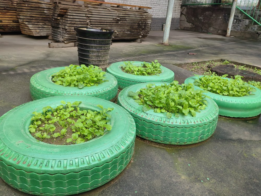 創(chuàng)意無休，廢舊輪胎也能C位出道