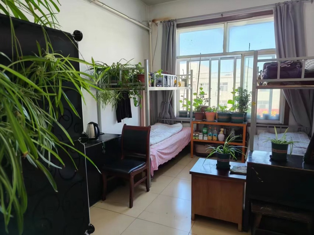 陜煤建設(shè)洗選煤運(yùn)營(yíng)公司檸條塔運(yùn)營(yíng)項(xiàng)目部黨支部：黨建領(lǐng)航強(qiáng)根基 廉潔鑄魂促發(fā)展