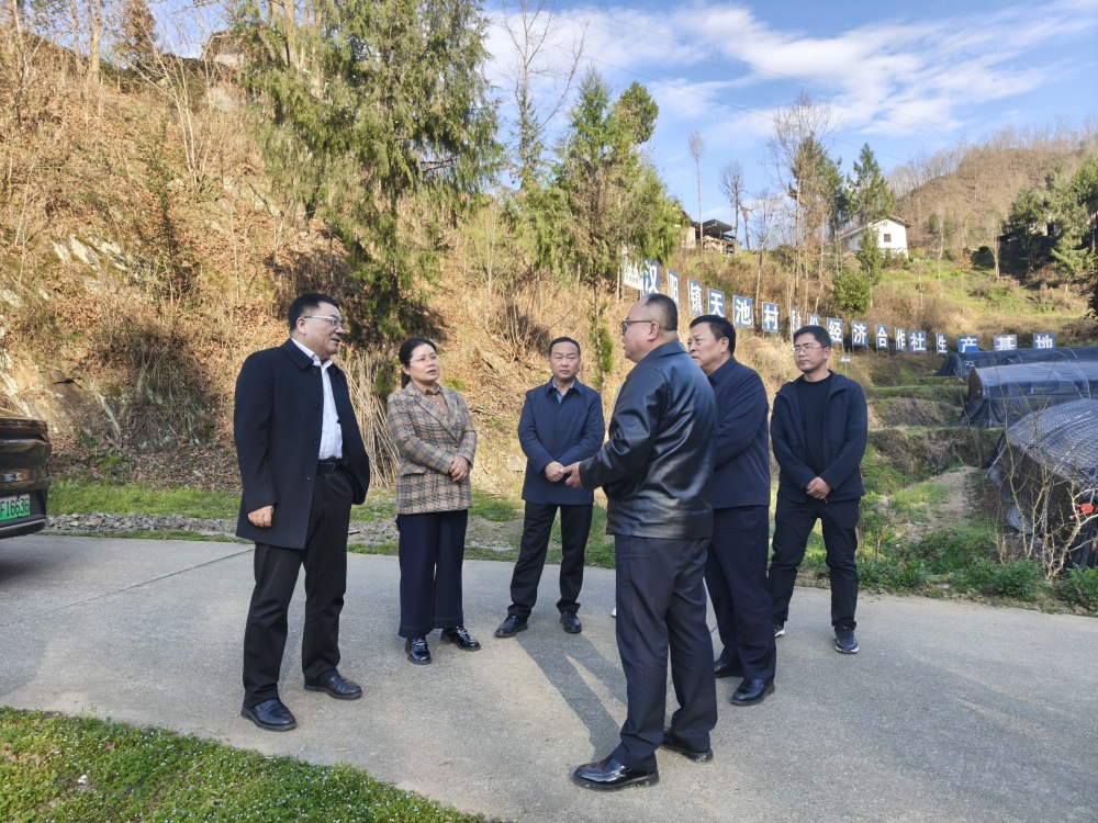 王明智深入定點(diǎn)幫扶村指導(dǎo)鄉(xiāng)村振興工作