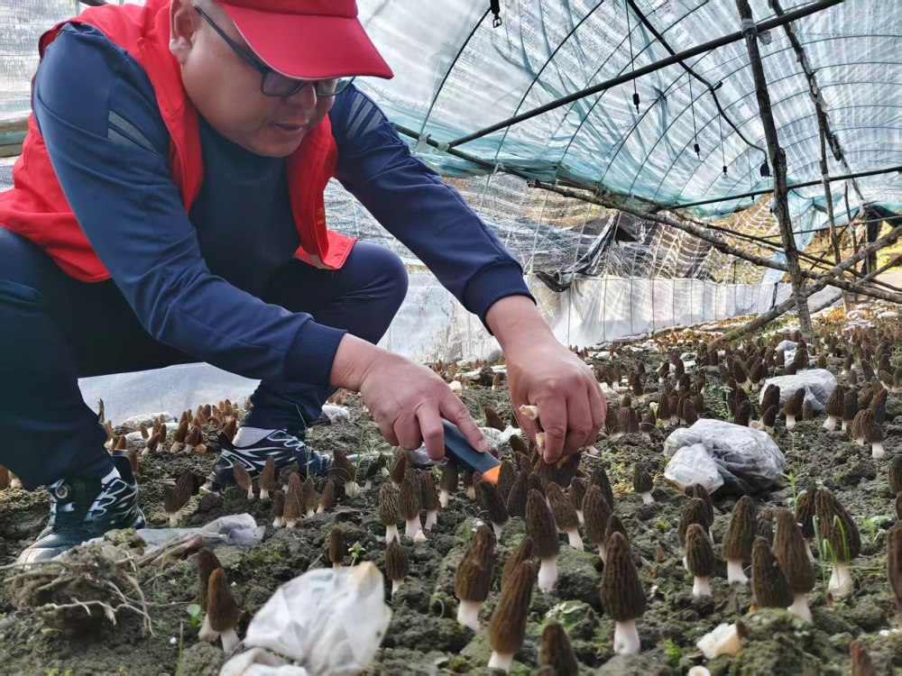 陜煤建設(shè)煤礦運營服務(wù)分公司：駐村干部顯擔當 宣傳賦能促振興