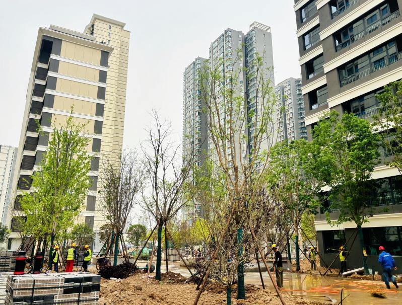 禮贊勞動筑匠心  青春奮進建新功