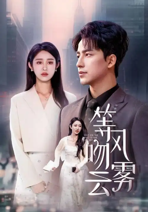 《玫瑰的故事》电视剧海报